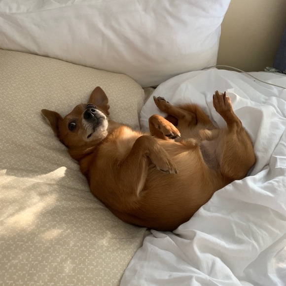 Meet the Seller ♡ - Picture 6 of 9